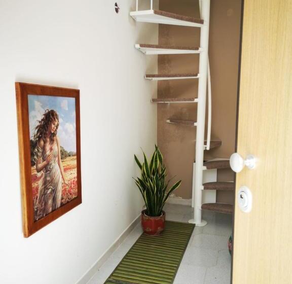 스탠다드 테라스 룸, Papa House