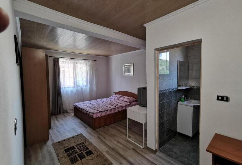 スタンダードルーム, Casa De Vacanta Constantin