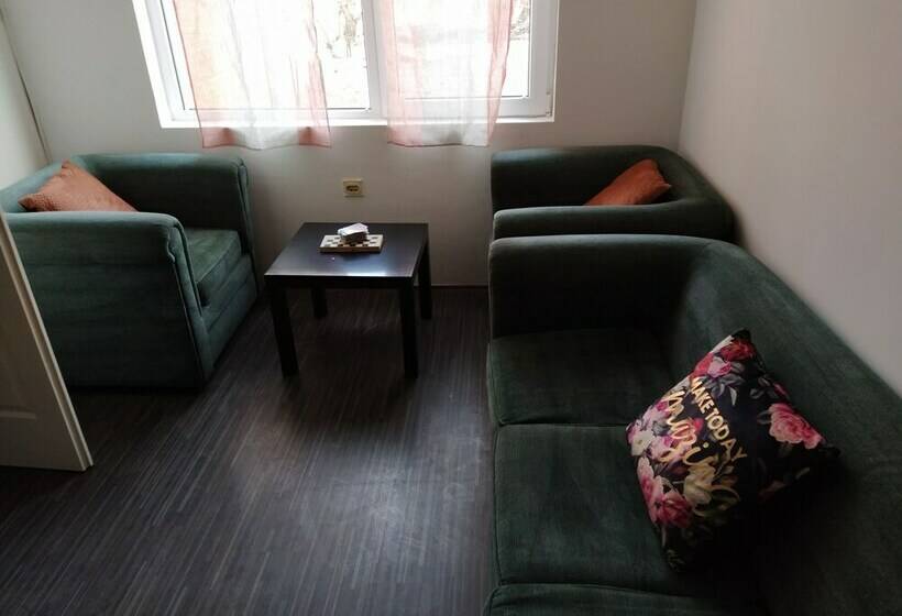 تختخواب در اتاق مشترک, Voyage Hostel