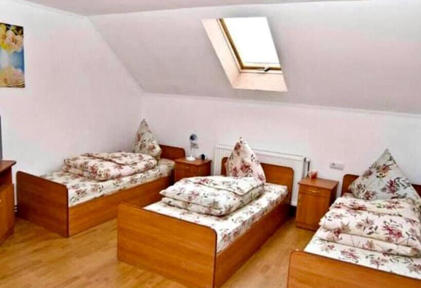 اتاق خانوادگی, Robert