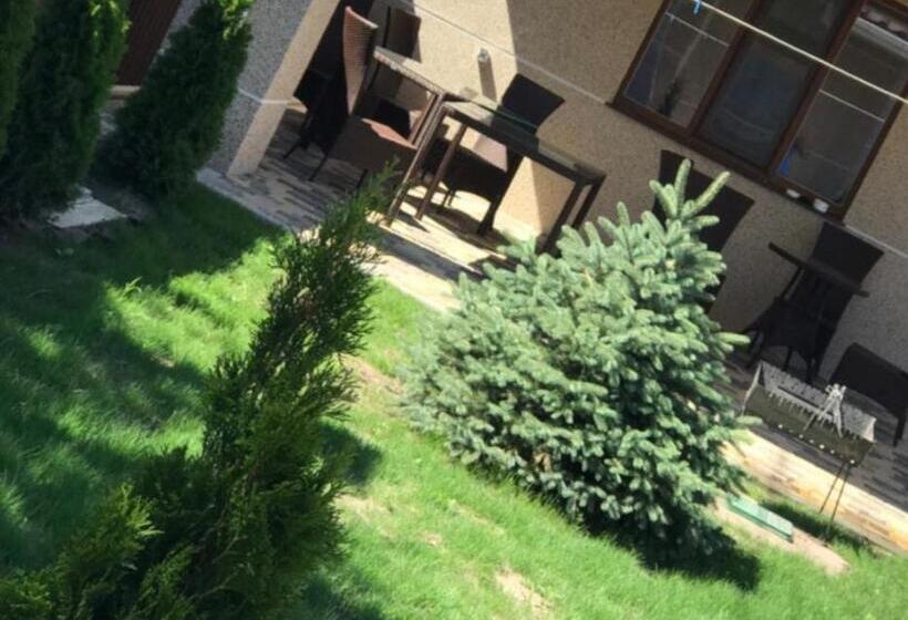 اتاق کلاسیک چهارنفره, Amina