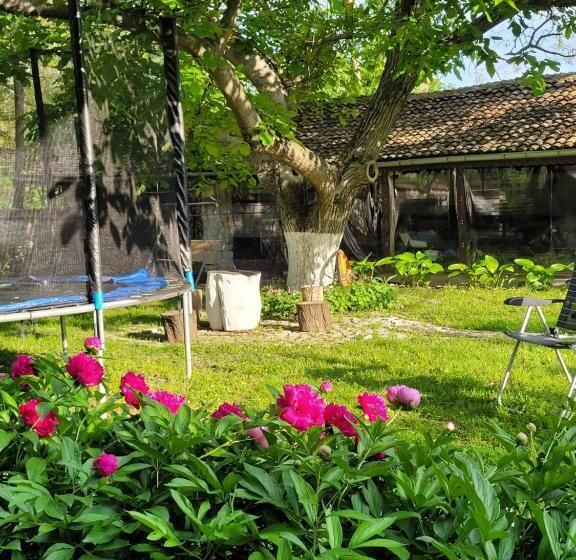 شقة غرفة واحدة, къща за гости българа