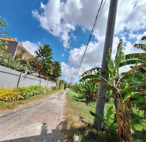 חדר סטנדרט, Bonewood Guesthouse