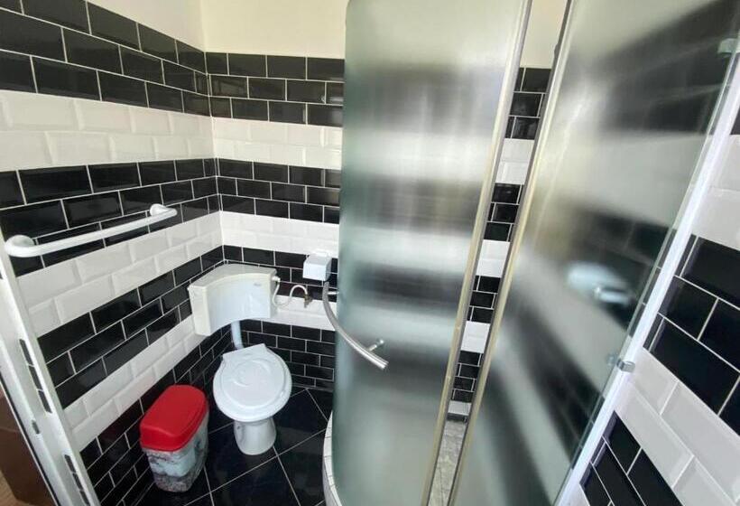 家庭工作室, Cool Breeze   Mamaia Nord