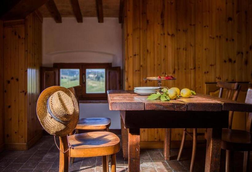 带1个卧室的顶楼公寓, Agriturismo Pane E Vino