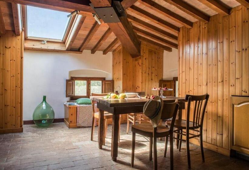 带1个卧室的顶楼公寓, Agriturismo Pane E Vino