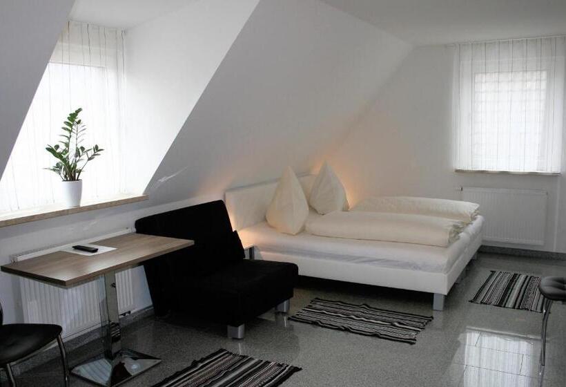 Студия Стандарт, Haus Zum Schlosspark