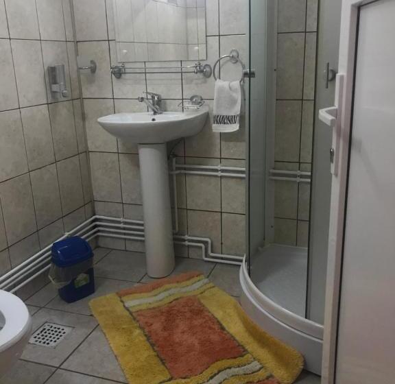 Номер Стандарт, Pensiunea Sasu