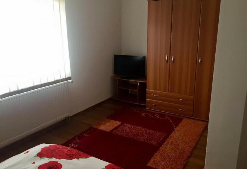 Номер Стандарт, Pensiunea Sasu