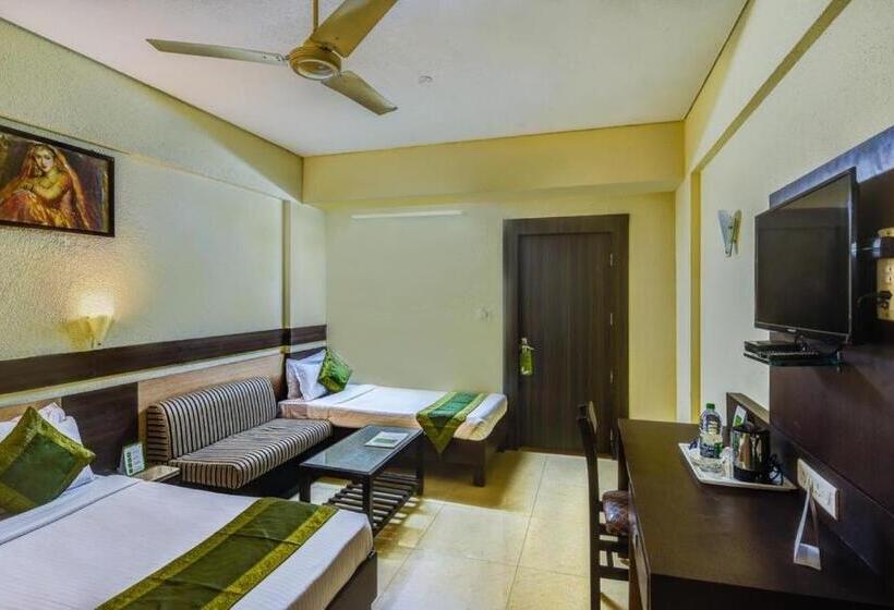 デラックスルーム, The Shagun