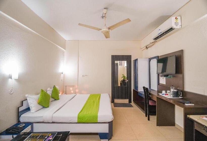 デラックスルーム, The Shagun