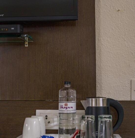 デラックスルーム, The Shagun