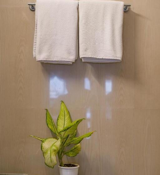 スタンダードルーム, The Shagun