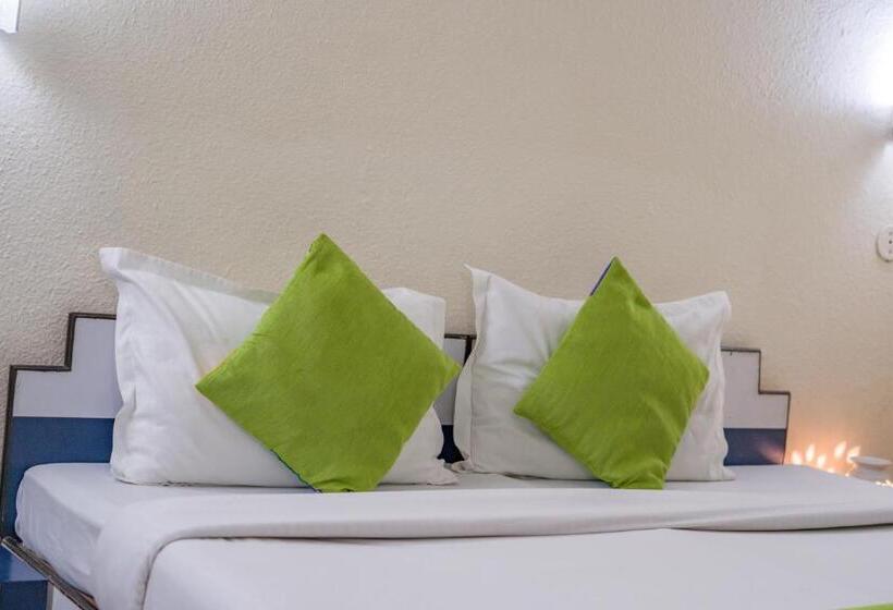 スタンダードルーム, The Shagun