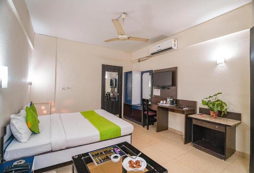 スタンダードルーム, The Shagun