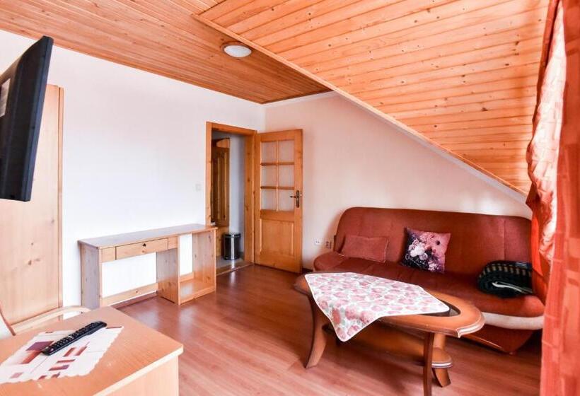 1 Bedroom Apartment Lake View, Penzion Kormoran