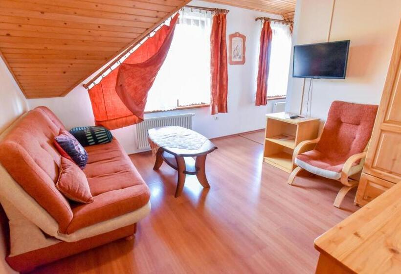 1 Bedroom Apartment Lake View, Penzion Kormoran