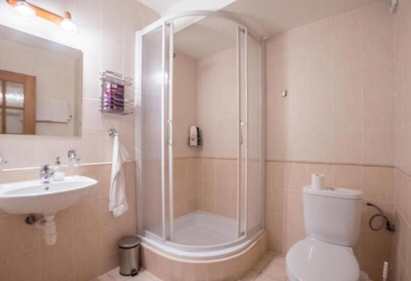 带1个卧室的高级公寓, Penzion Kormoran