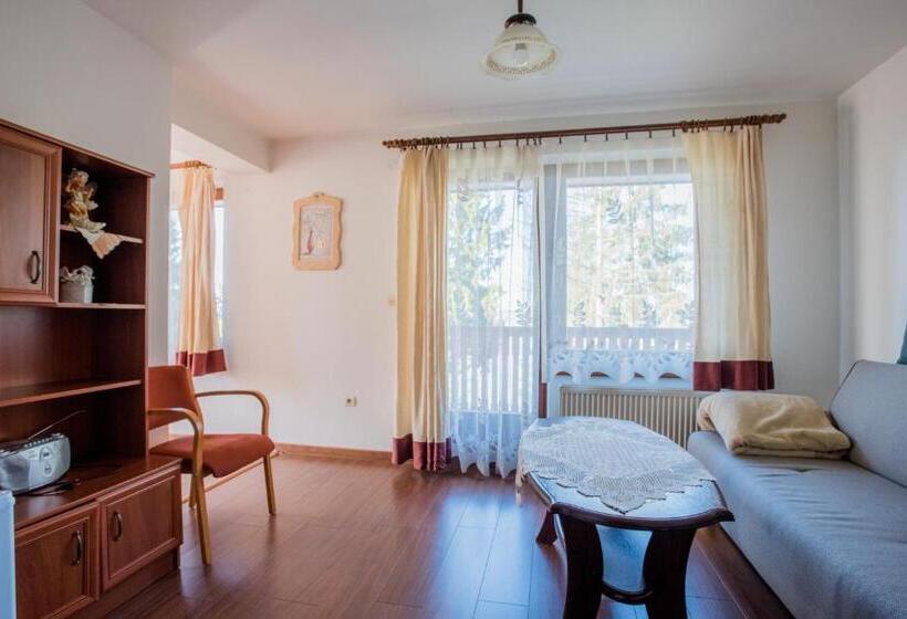 带1个卧室的高级公寓, Penzion Kormoran