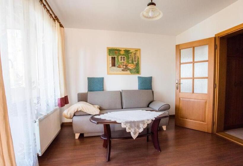 带1个卧室的高级公寓, Penzion Kormoran