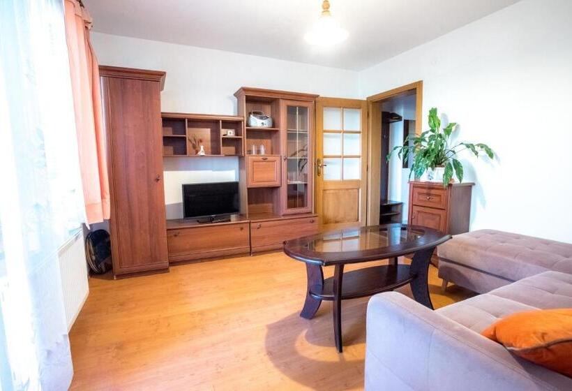 带1个卧室的公寓, Penzion Kormoran