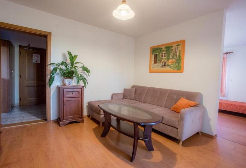 带1个卧室的公寓, Penzion Kormoran