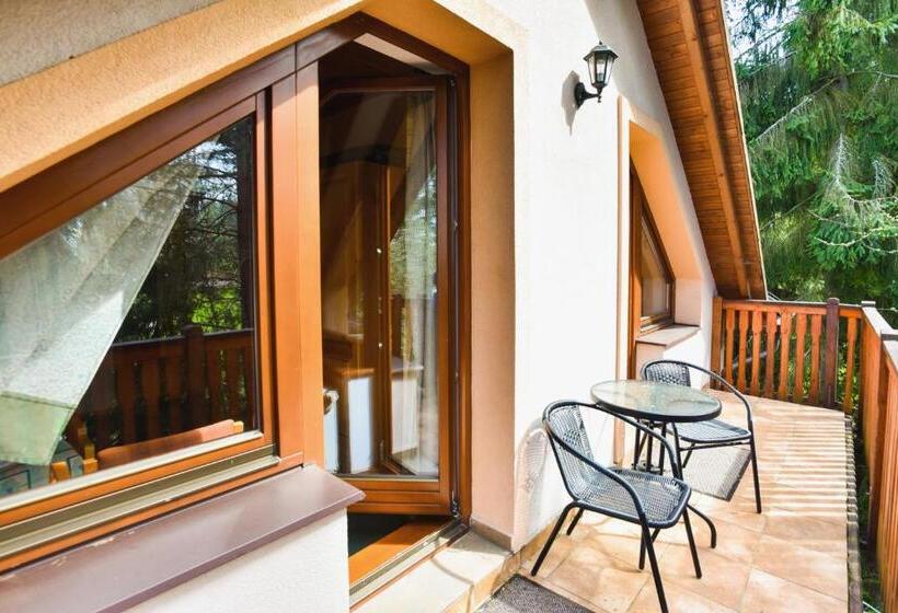 Апартаменты Deluxe 1 Спальня, Penzion Kormoran