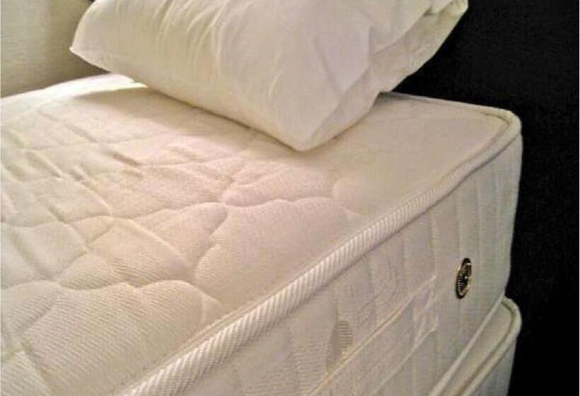 غرفة أساسية سرير مزدوج, Niigata Park