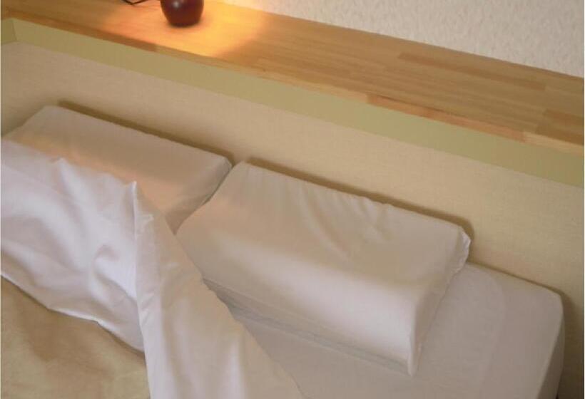 غرفة ديلوكس فردية, Niigata Park