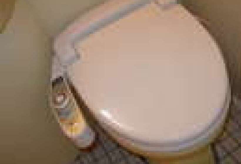 غرفة قياسية, Niigata Park