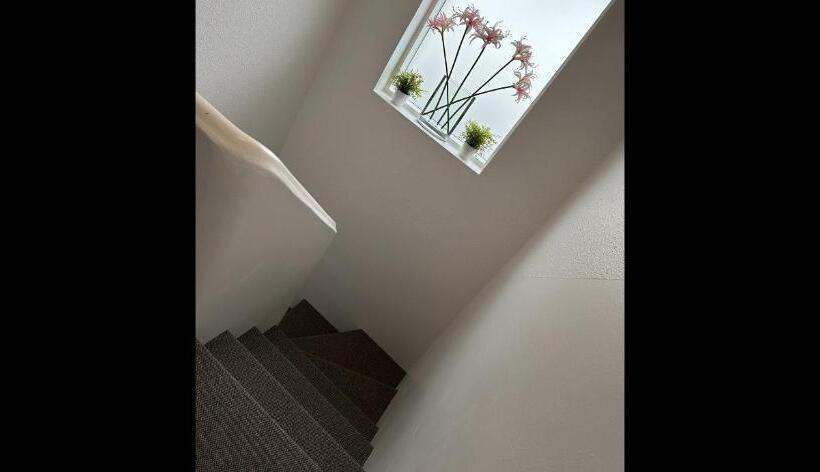 اتاق استاندارد با سرویس بهداشتی مشترک, Guesthouse Dyngja