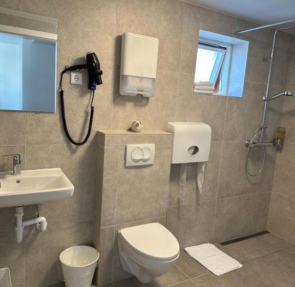 اتاق پایه با سرویس بهداشتی مشترک, Guesthouse Dyngja