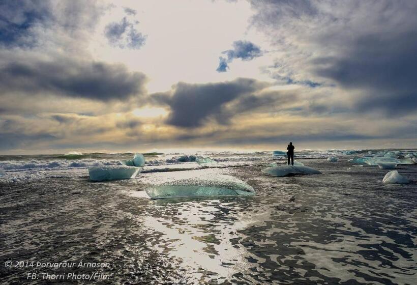 استودیوی استاندارد, Guesthouse Dyngja