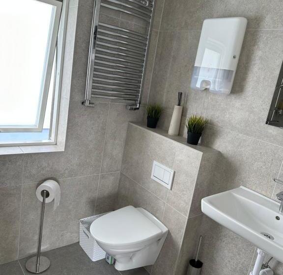 اتاق استاندارد سه تخته با سرویس بهداشتی مشترک, Guesthouse Dyngja