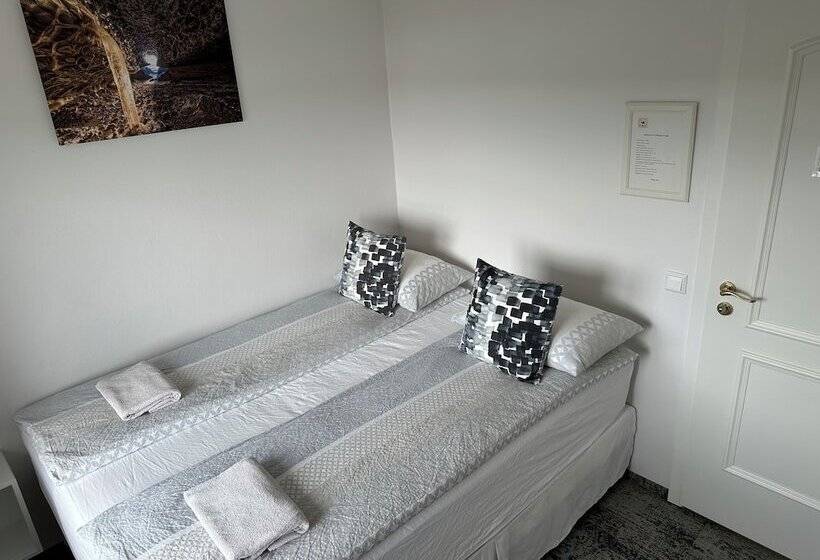 اتاق استاندارد با سرویس بهداشتی مشترک, Guesthouse Dyngja