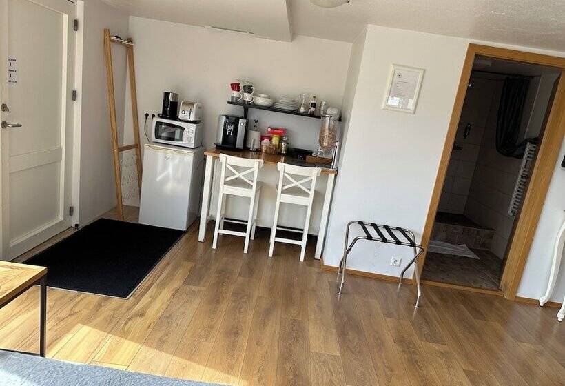 استودیوی استاندارد, Guesthouse Dyngja