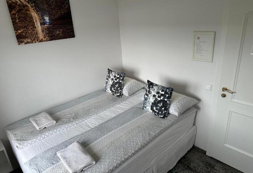 اتاق استاندارد با سرویس بهداشتی مشترک, Guesthouse Dyngja
