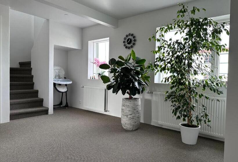 اتاق استاندارد سه تخته با سرویس بهداشتی مشترک, Guesthouse Dyngja