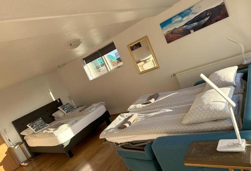 استودیوی استاندارد, Guesthouse Dyngja