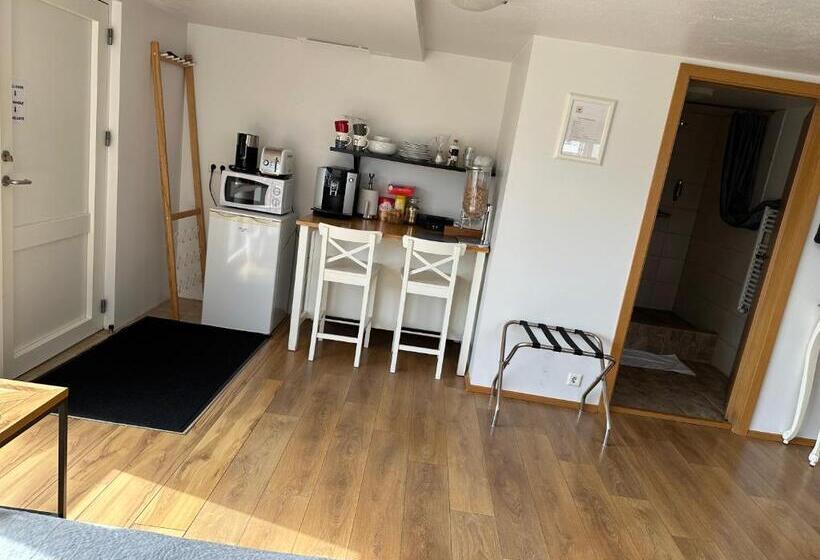 استودیوی استاندارد, Guesthouse Dyngja