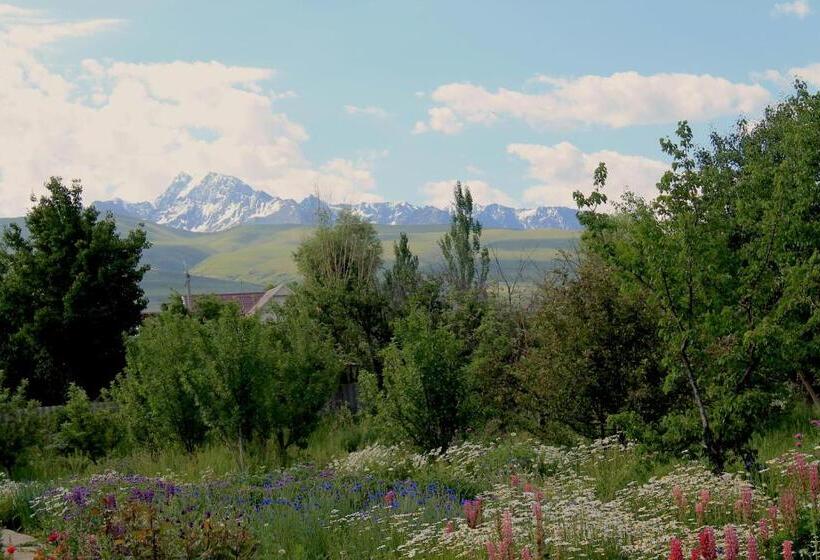 اتاق لوکس, Memo's Boutique Guesthouse