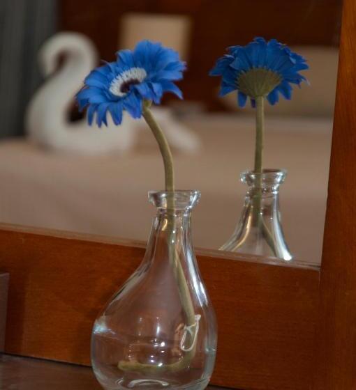 家庭间, Elaria Hotel Hurgada