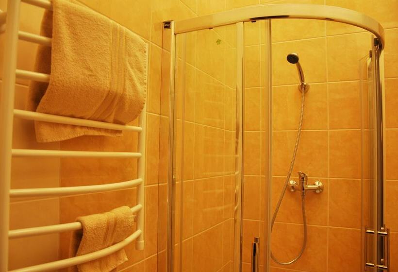 اتاق استاندارد یک نفره, Business Apartments