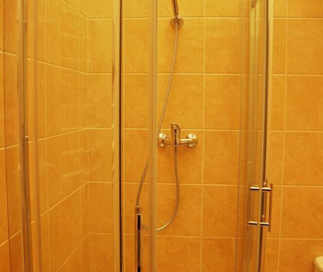 اتاق استاندارد یک نفره, Business Apartments