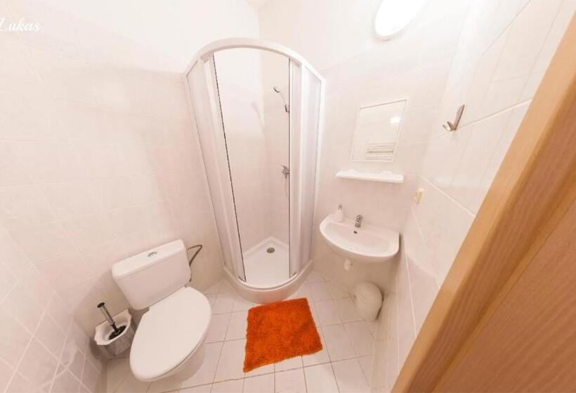 标准三人间, Pension Lukas