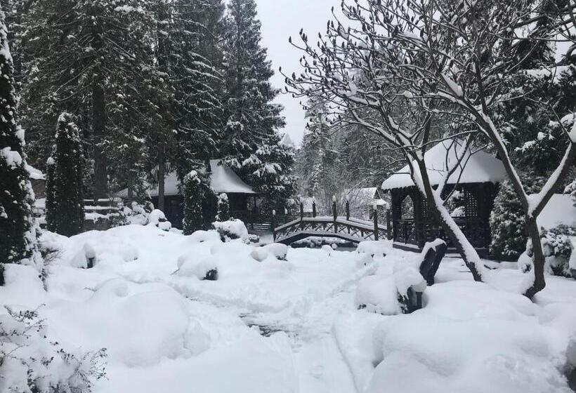 Casa 1 Camera da Letto, Smerekova Hata