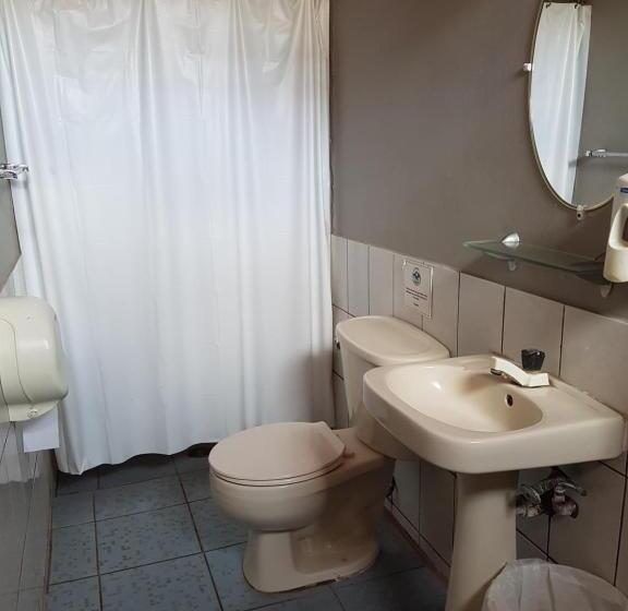 تختخواب در اتاق مشترک, Managua Inn