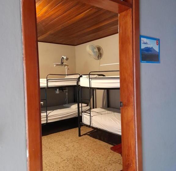 تختخواب در اتاق مشترک, Managua Inn