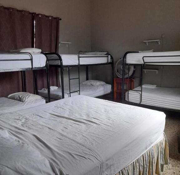 اتاق خانوادگی, Managua Inn