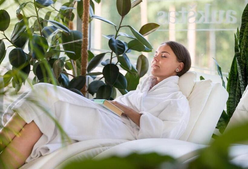 اتاق استاندارد, Atostogų Parkas